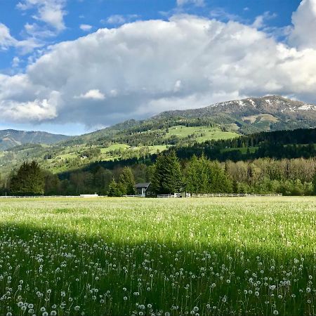 Traumhafte Wohnung Auf Pferde Ranch アイヒ エクステリア 写真