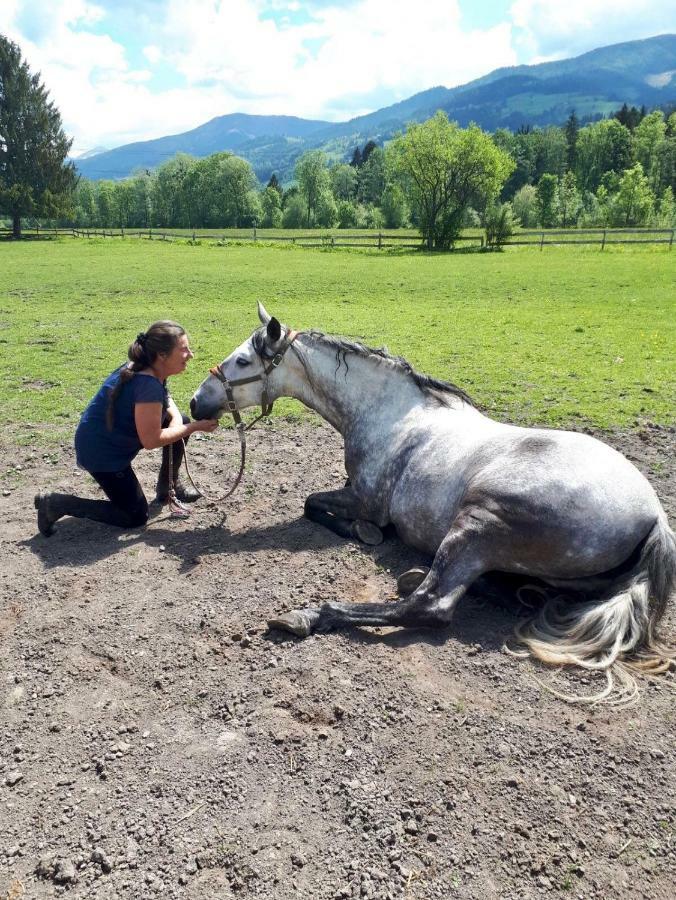 Traumhafte Wohnung Auf Pferde Ranch アイヒ エクステリア 写真