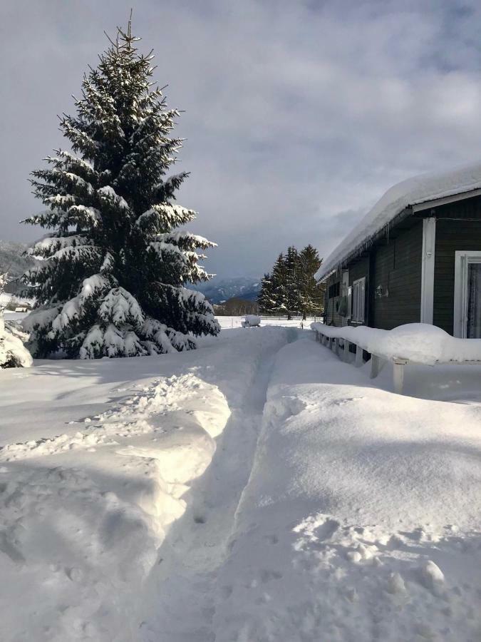 Traumhafte Wohnung Auf Pferde Ranch アイヒ エクステリア 写真